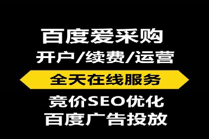 网络推广与竞价策略实战案例